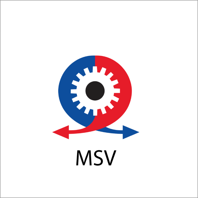 logo_MSV